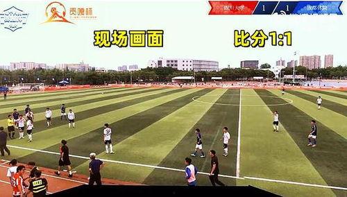 成都体育学院爆料视频最新,揭秘校园内幕，真相令人震惊  第1张